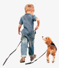 #littleboy #dog #leash #freetoedit, HD Png Download, Free Download