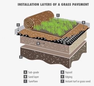 Surepave-grass, HD Png Download, Free Download