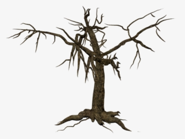 Tree, Isolated, Leafless, Mystical, Old, HD Png Download, Free Download