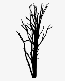Woody Plant Tree Silhouette Clip Art, HD Png Download, Free Download