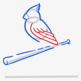 St Louis Cardinals Png, Transparent Png, Free Download