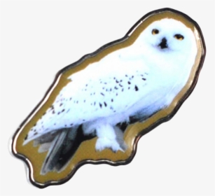 Hedwig Harry Potter, HD Png Download, Free Download