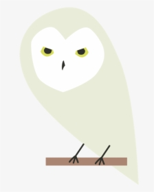 Hedwig Png, Transparent Png, Free Download