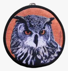 Hedwig Png, Transparent Png, Free Download
