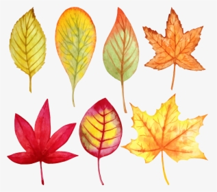 Leaf Painting Autumn Transprent, HD Png Download, Free Download