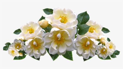 Roses, White, Flowers, Arrangement, Garden, Nature, HD Png Download, Free Download