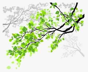 Transparent Tree Branch With Leaves Clipart, HD Png Download, Free Download