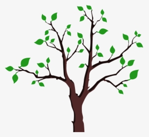 Tree Branches With Leaves Png, Transparent Png, Free Download