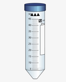 Scale Ruler Png, Transparent Png, Free Download