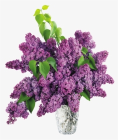 Vase Clipart Purple Flower, HD Png Download, Free Download