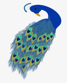 Peacock Illustration Clip Arts, HD Png Download, Free Download