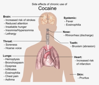 Cocain Png, Transparent Png, Free Download