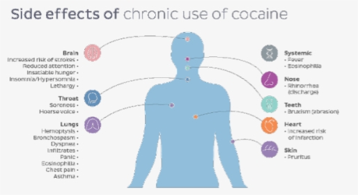 Side Effects Of Cocaine, HD Png Download, Free Download