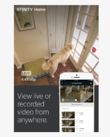 Xfinity Png, Transparent Png, Free Download