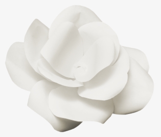 White Flower Poster, HD Png Download, Free Download