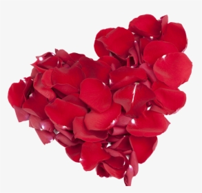 This Graphics Is Rose Petals Red Love Design About, HD Png Download, Free Download
