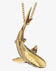 P Shark Pendant Y Diamond New Chain Yg90, HD Png Download, Free Download