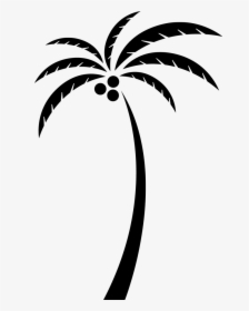 Coconut Arecaceae Tree Clip Art, HD Png Download, Free Download