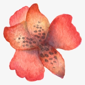 Hand Painted Stick Figure A Red Flower Watercolor Transparent, HD Png Download, Free Download