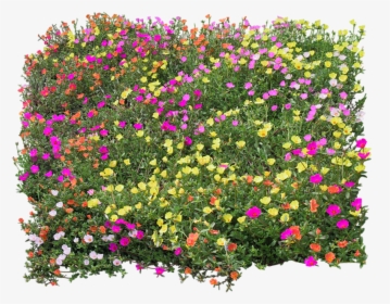 Flower Mapping Bed Top View Transprent Png, Transparent Png, Free Download