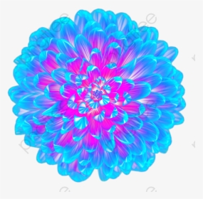 Flower Top View Png, Transparent Png, Free Download