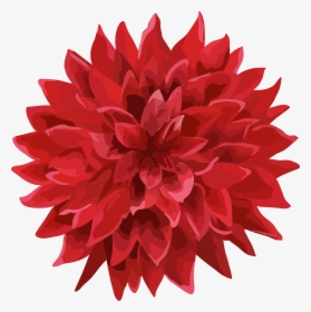 Dahlia Flower Png , Png Download, Transparent Png, Free Download