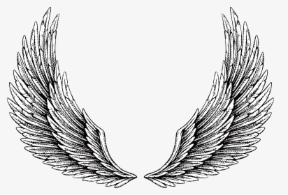 Tattoo Wing Illustration Hd Image Free Png Clipart, Transparent Png, Free Download