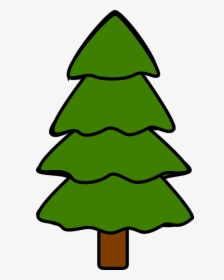 Pohon, Pohon Cemara, Pinus, Cemara, Alam, Kayu, HD Png Download, Free Download