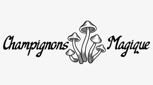 Art Png Images, Transparent Png, Free Download