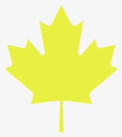 Maple Leaf Clipart Yellow, HD Png Download, Free Download