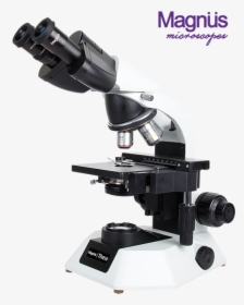 Biological Microscope, HD Png Download, Free Download