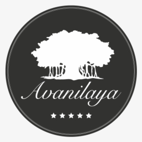 Gulmohar Tree Png, Transparent Png, Free Download