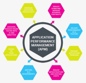 Roi Png, Transparent Png, Free Download
