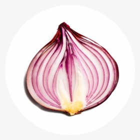 Half Onion , Png Download, Transparent Png, Free Download