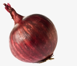 God Of Onion , Png Download, Transparent Png, Free Download