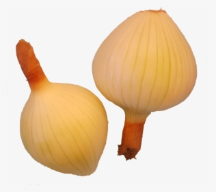 Transparent Onion Plant Png, Png Download, Free Download