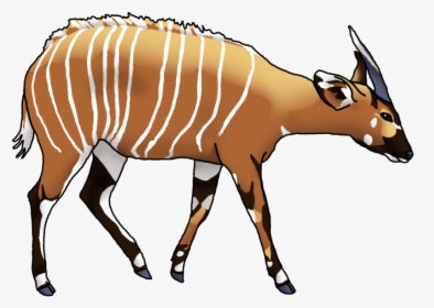 Antelope Bongo Drum Cartoon Drawing Clip Art, HD Png Download, Free Download