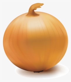Pumpkin Calabaza Onion Vegetable, HD Png Download, Free Download