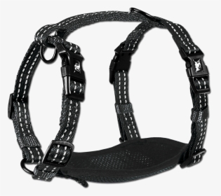 Adventure Harnesses, HD Png Download, Free Download