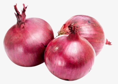 Transparent Onion Png, Png Download, Free Download