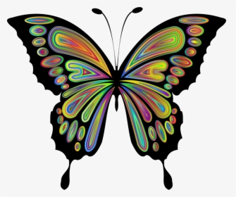 Png Images Butterflies, Transparent Png, Free Download