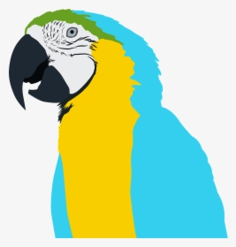 Bird,free - Parrot, HD Png Download, Free Download