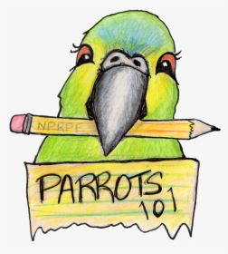 Green Parrot Png, Transparent Png, Free Download