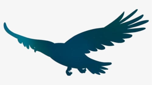 Flying Eagle Png Full Hd, Transparent Png, Free Download