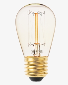 Bulb Image Png, Transparent Png, Free Download