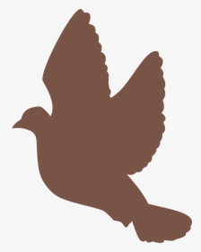 Pigeons Flying Png, Transparent Png, Free Download
