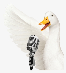Aflac Duck Png, Transparent Png, Free Download