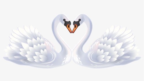 White Duck Png, Transparent Png, Free Download