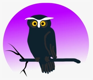 Owl Eagle Owl Night Free Photo, HD Png Download, Free Download