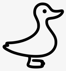 Duck, HD Png Download, Free Download